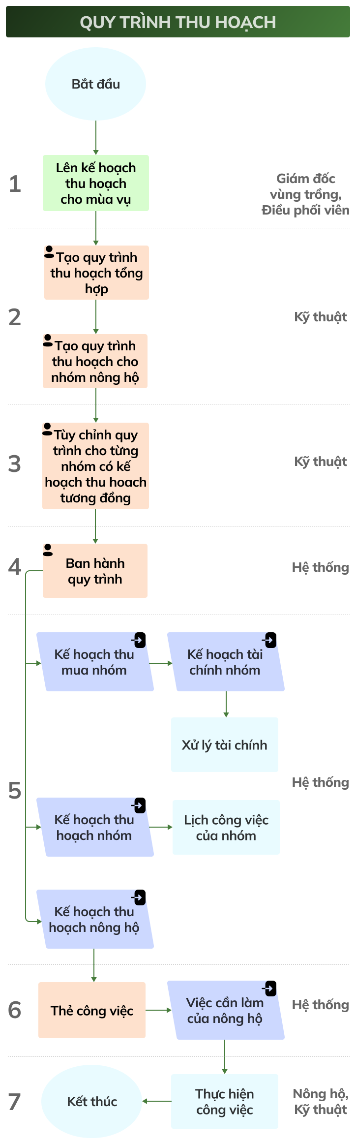 Quy trình thu hoạch