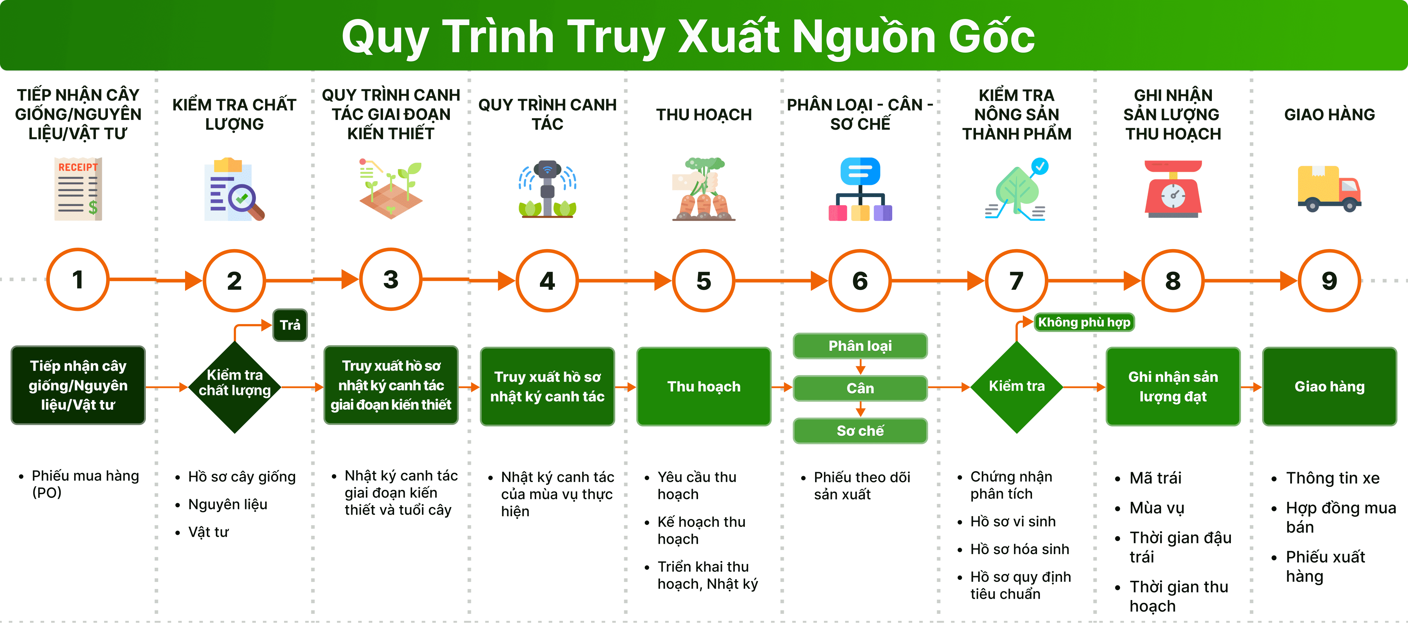 Truy xuất nguồn gốc