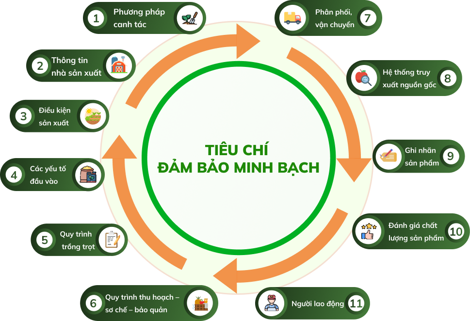 Các tiêu chí minh bạch AFT